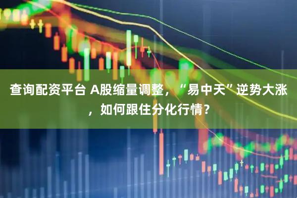 查询配资平台 A股缩量调整，“易中天”逆势大涨，如何跟住分化行情？